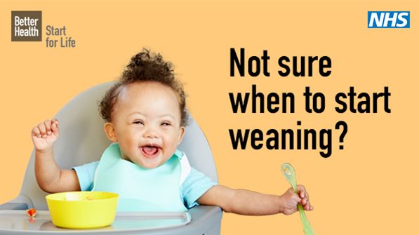 Not sure when to start weaning?